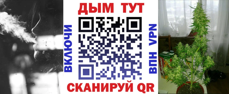 Купить наркотики сайты Кыштым Гашиш  APVP  Cocaine  Меф мяу мяу  Каннабис 