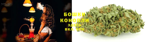 твердый Осташков
