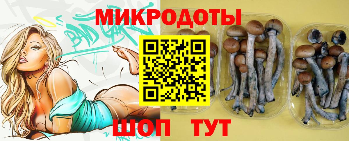 Псилоцибиновые грибы Кыштым